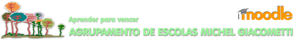 Agrupamento de Escolas Michel Giacometti