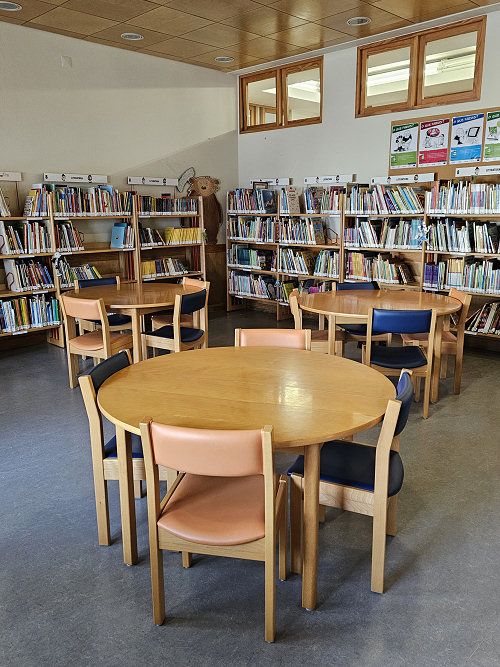 Biblioteca Escolar4